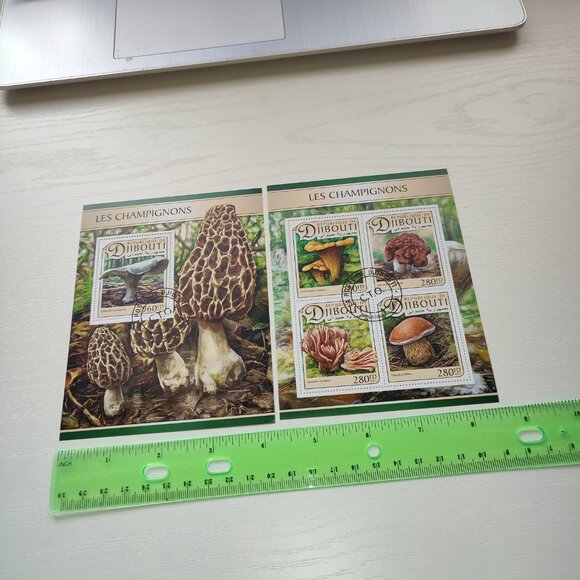Academia Set 2 Stamp Souvenir Sheets Mushrooms Nature Collectible Djibouti 2017 - Picture 4 of 5